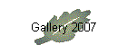 Gallery 2007