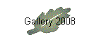 Gallery 2008